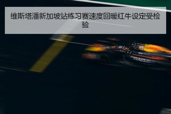 维斯塔潘新加坡站练习赛速度回暖红牛设定受检验